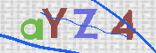 キャプチャ画像